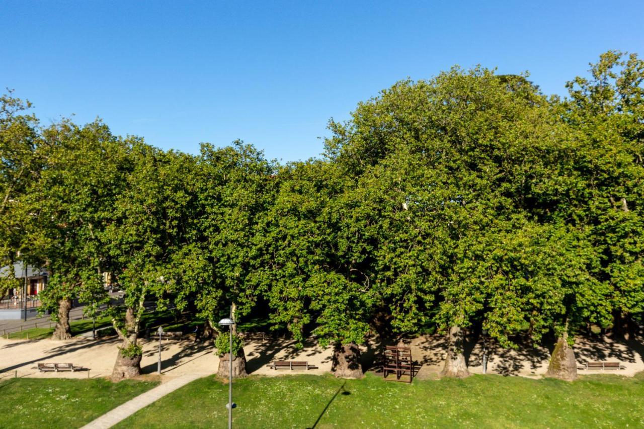 Tripas-Coracao, Cordoaria River View, Garden View Or Loft Порту Экстерьер фото
